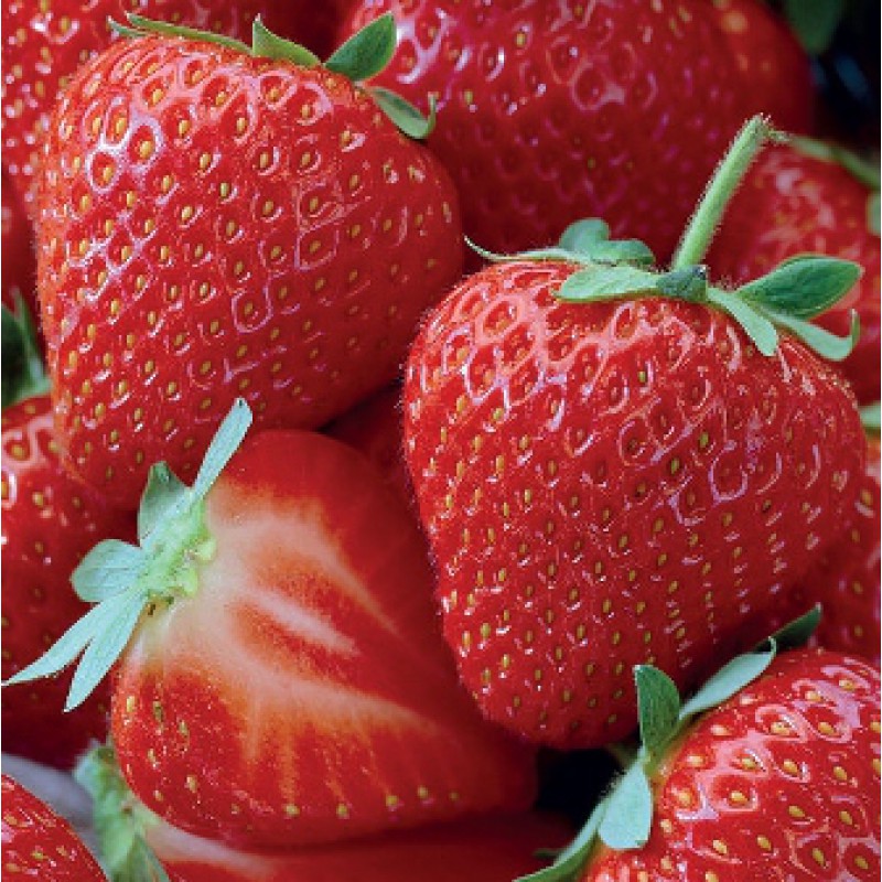 Truskawka podglądowe zdjęcie